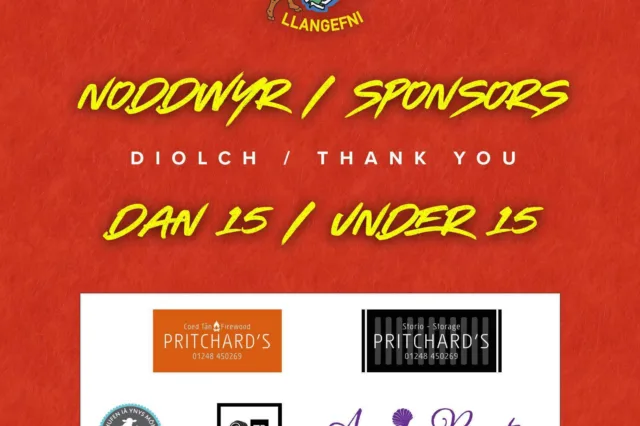 Dan 15