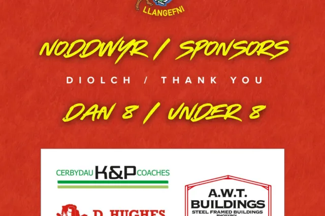 Dan 8
